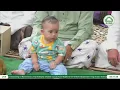 Download Lagu Syair Natawasal Bil Jalalah \u0026 Ya Sayyidi Ya Rasulullah - Al Ustadz H. Ilham Humaidi