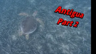 Episode 31   Antigua Part 2