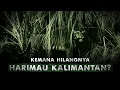 Download Lagu Kenapa Tidak Ada Harimau di Kalimantan? | Harimau Kalimantan