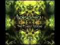 Reflection - Dark Souls Part 1