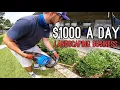 How To Start A Landscaping Business Complete Guide