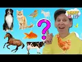 Download Lagu Animals - What Is It? 🐕  | Guessing Game, Vocabulary Builder | Dream English Kids