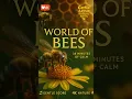 Lagu Bees WOW π Macro Calm | Full 38-min on Channel