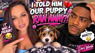 I Told My Man Our New Puppy Ran Away 😭😂 His Reaction!