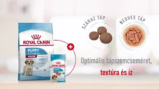 Royal Canin Medium Puppy eledelek - Közepes testű kölyök kutyák részére | Petissimo