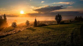 سورة الحج محمد اللحيدان خشوع تااام 