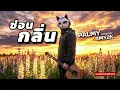 ซ่อนกลิ่น - PALMY (Cover by RMY2K)