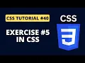 CSS Tutorial - Exercise on Align pseudo classes combinators Attribute Selectors