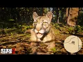 Florida Panther Location - Old Harry Fen RDR2