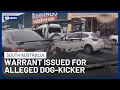 Warrant Issued For Alleged Dog-Kicker After Court No-Show 10 News
