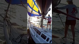 #shorts #reels #sailing #texas #racing #water #fun #wind #sports