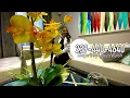 Fort Myers Florida Massage Therapist Letuza Walsh 239-440-4640