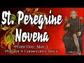 Powerful Novena to St Peregrine Patron of People Suffering from CANCER AIDS