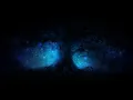 Download Lagu Selena Gomez \u0026 Marshmello - Wolves (speed up) ❀