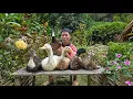 Download Lagu Selling Ducks at Market | Buying Feed for Ducklings \u0026 Garden Work | Solo Survival