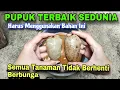 Download Lagu 𝗜𝗻𝗶 𝗮𝗸𝗶𝗯𝗮𝘁𝗻𝘆𝗮 𝗸𝗮𝗹𝗮𝘂 𝗸𝗮𝗺𝘂 𝗿𝘂𝘁𝗶𝗻 𝗸𝗮𝘀𝗶𝗵 𝗻𝘂𝘁𝗿𝗶𝘀𝗶 𝗮𝗷𝗮𝗶𝗯 𝗶𝗻𝗶 𝗸𝗲 𝘁𝗮𝗻𝗮𝗺𝗮𝗻