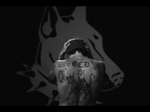 Video Thumbnail: Lauri Haav - No Haav No Love