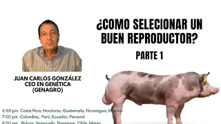 🐽🐽 Conversatorio: ¿Cómo seleccionar un buen Reproductor? (Parte 1)