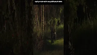 عاطف نام في الشارع بعد ما ابوه طرده من البيت 