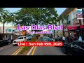 Live LAS OLAS Ft Lauderdales NightLife
