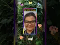 Download Lagu Nur Afni Octavia _ Dulu Dan Sekarang #artist #penyanyi #music #legend #indonesia