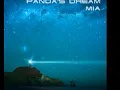 Panda's Dream 'Night Owl'