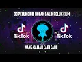 Download Lagu DJ PELUK CIUM PELUK CIUM BOLAK BALIK \\\\ DJ JEDAG JEDUG YANG KALIAN CARI CARI