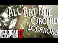 Red Dead Redemption 2 - All 20 Rat Tail Orchid Locations Duchesses and Other Animals Exotics
