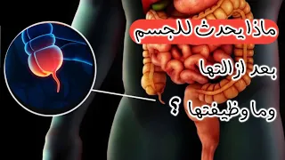 ما وظيفة الزائدة الدودية ولماذا نستاصلها و ماذا يحدث للجسم بعدها فضول 
