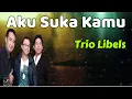 Download Lagu Trio Libels  -  Aku Suka Kamu  (Lirik Lagu)