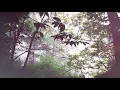 Yeahman - Cariñito