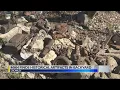 Man find artifacts in his yard in Acadia Parish