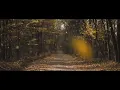Jeremy Soule (Skyrim) — “The Streets of Whiterun” [Extended with Mild “Fall Ambience”] (1.5 Hrs.)
