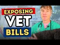 Why Are Vet Bills So High in 2025 Hidden Costs How to Lower Them