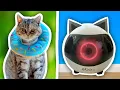 Download Lagu I Used ROBOTS To Look After My Cats