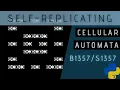 Self Replication Cellular Automata using Pygame