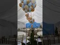 Floating Teddy bear tedd