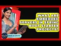 What Are Embedded Servers In Spring Boot Starter Projects - Server Logic Simplified