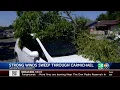 Powerful winds topple trees cut power in Sacramento County