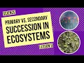 Primary vs Secondary Succession How Ecosystems Recover Over Time