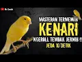 Download Lagu MASTERAN TERMEWAH..!!!KENARI NGEROLL TEMBAK JERNIH || JEDA 10 DETIK !!