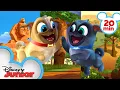 Download Lagu Bingo and Rolly Travel Around Africa! 🌍| Compilation | Puppy Dog Pals | Disney Junior
