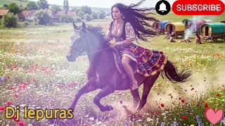 dj iepuras amurg in satra manele party nebunie percutii remix 2026