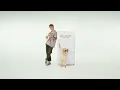 Forrest Frank - NEVER LEFT MY SIDE