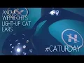 Light Up Kitty Ears with Anouk Wipprecht