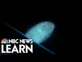 Crime Scene Chemistry Fingerprinting