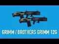 PAYDAY 2: Brothers Grimm/Grimm 12G - Weapon Guide #13
