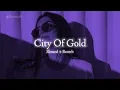 Download Lagu City Of Gold - Slowed \u0026 Reverb | Nirvair Pannu | Punjabi Song Lofi | Tere Vich Vasdi Jaan Jatt Di