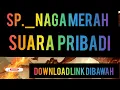Download Lagu sp pribadi naga merah
