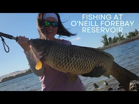 Download MP3 Carp Fishing at O'Neill Forebay Reservoir/nuv ntses os